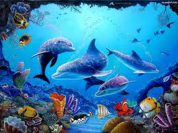 images